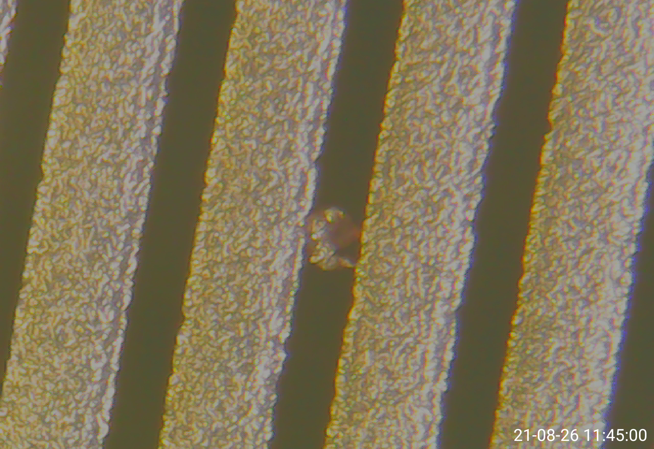 pcb short, dry film, etching pcb , alkaline etching